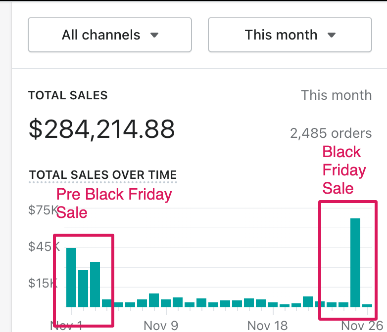 Shopify Sales on Black friday by hustle marketers image