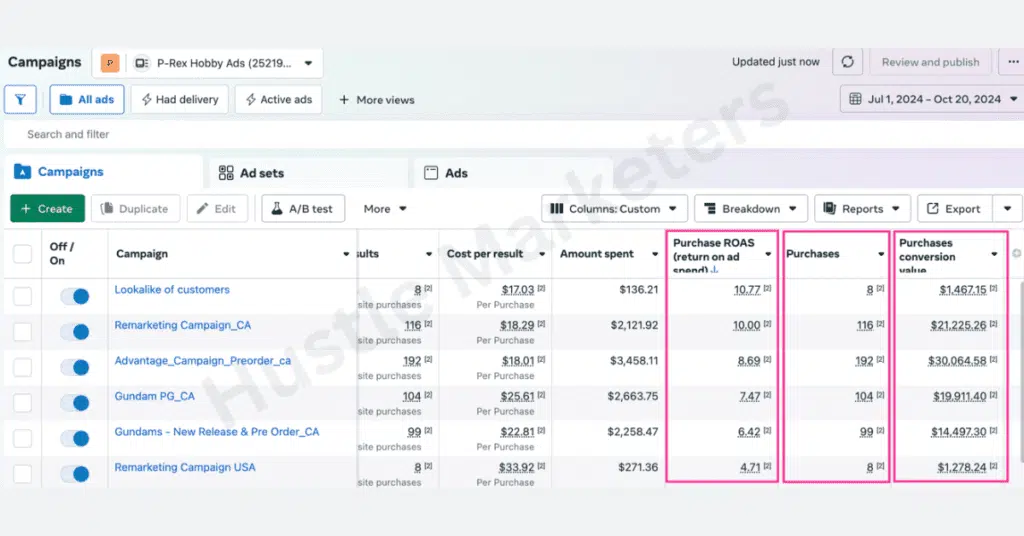 Facebook ads results acheived by Hustle Marketers
